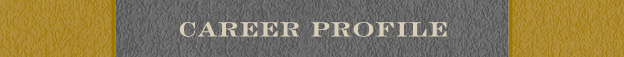 Career Profile.